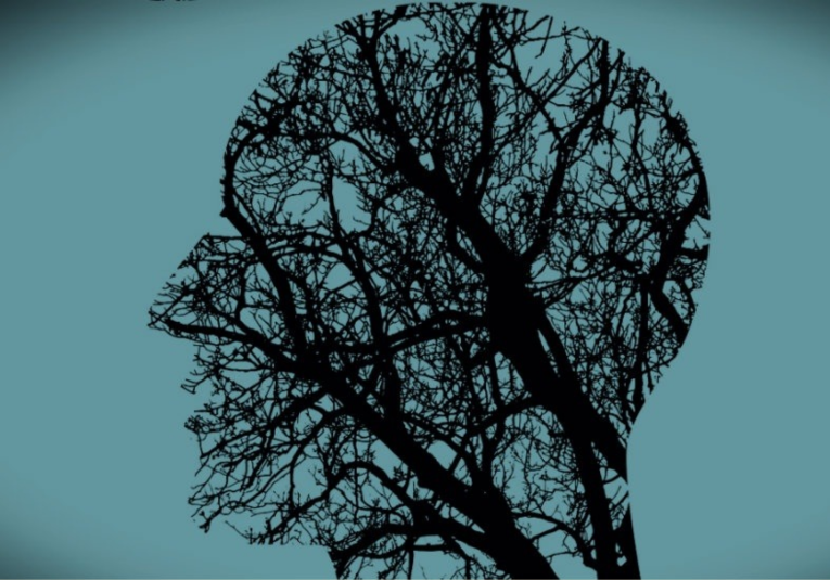 2020, un año desafiante para la salud mental 2020-un-ano-desafiante-para-la-salud-mental-112550-112704.png