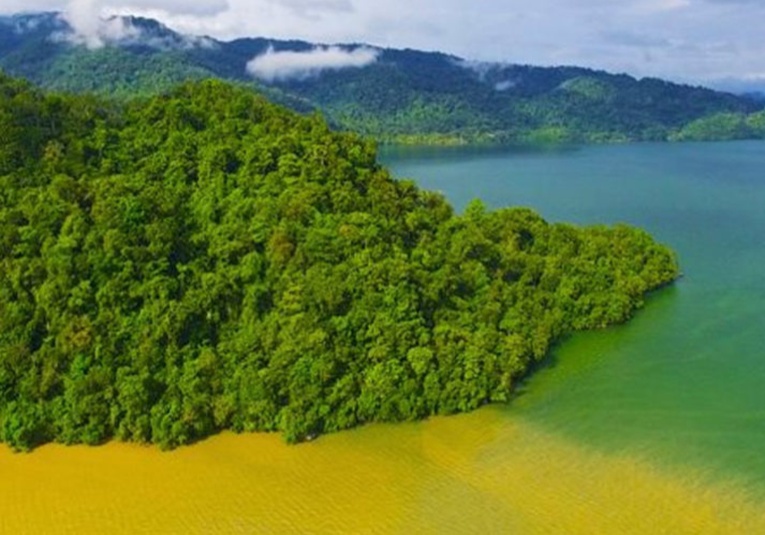Aprueban ley que ayudará a las entidades ambientales para mejorar el medio ambiente del paí­s aprueban-ley-que-ayudar-a-las-entidades-ambientales-para-mejorar-el-medio-ambiente-del-pais-182514-182610.jpg