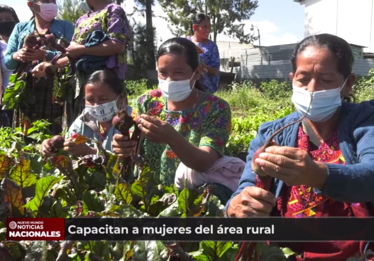 Capacitan a mujeres del área rural capacitan-a-mujeres-del-rea-rural-184252-184410.png