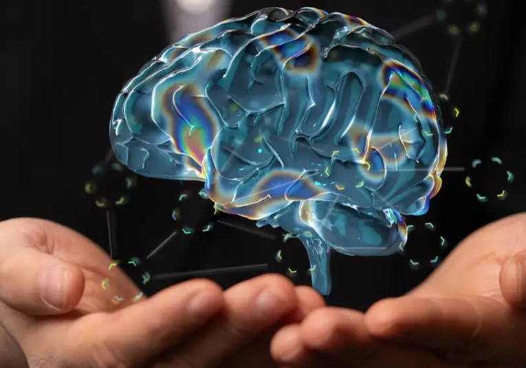 Científicos demuestran que el cerebro puede rejuvenecer cientificos-demuestran-que-el-cerebro-puede-rejuvenecer-113517-113552.jpg