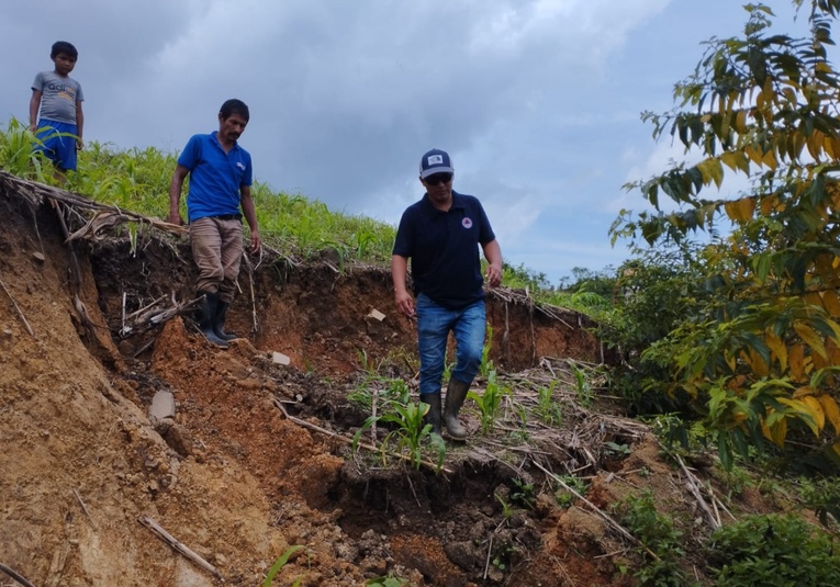 Conred identifica más de 80 asentamientos en zonas de alto riesgo en Guatemala conred-identifica-m-s-de-80-asentamientos-en-zonas-de-alto-riesgo-en-guatemala-121736-121741.jpg