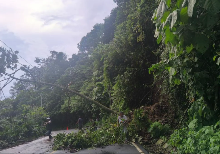 Conred reporta 145 incidentes por lluvias en lo que va del año