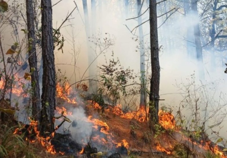 Conred reporta 947 incendios forestales en lo que va del año, 25 siguen activos conred-reporta-947-incendios-forestales-en-lo-que-va-del-ano-25-siguen-activos-142009-142027.jpg