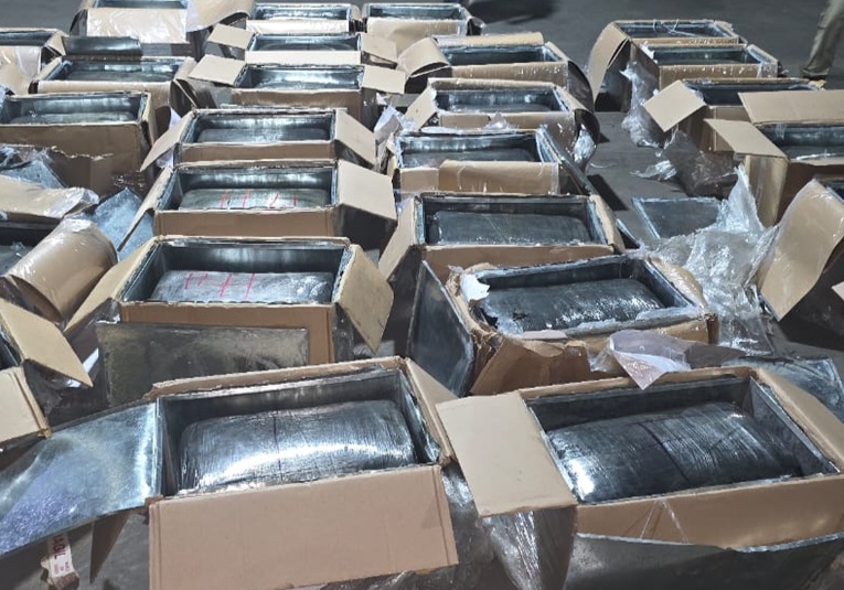 Decomisan marihuana valorada en Q3 millones en puerto Santo Tomás, Izabal decomisan-marihuana-valorada-en-q3-millones-en-puerto-santo-tom-s-izabal-120135-120726.jpg