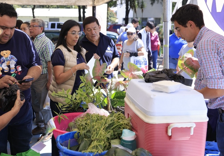 Ferias del agricultor generan Q2.3 millones en ventas durante 2024, según MAGA ferias-del-agricultor-generan-q2-3-millones-en-ventas-durante-2024-segun-maga-134216-134335.jpg