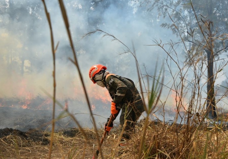 Incendios forestales dañan más de medio millón de hectáreas en Guatemala incendios-forestales-danan-m-s-de-medio-millon-de-hect-reas-en-guatemala-151819-151854.jpg