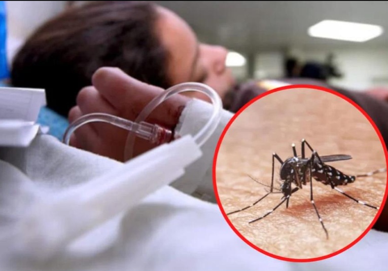 Informe de la semana 44, 184 fallecidos por Dengue y más de 160 mil casos confirmados informe-de-la-semana-44-184-fallecidos-por-dengue-y-m-s-de-160-mil-casos-confirmados-140948-141049.jpg