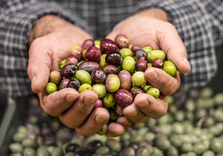 La UE alerta sobre la entrada en España de aceitunas con un pesticida prohibido la-ue-alerta-sobre-la-entrada-en-espana-de-aceitunas-con-un-pesticida-prohibido-112249-112342.png