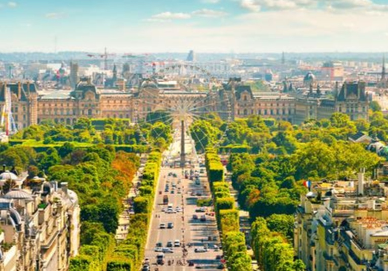Plantar más árboles reducirí­a hasta en un tercio las muertes por el aumento de las temperaturas en ciudades plantar-m-s-rboles-reduciria-hasta-en-un-tercio-las-muertes-por-el-aumento-de-las-temperaturas-en-ciudades-142919-142932.jpg