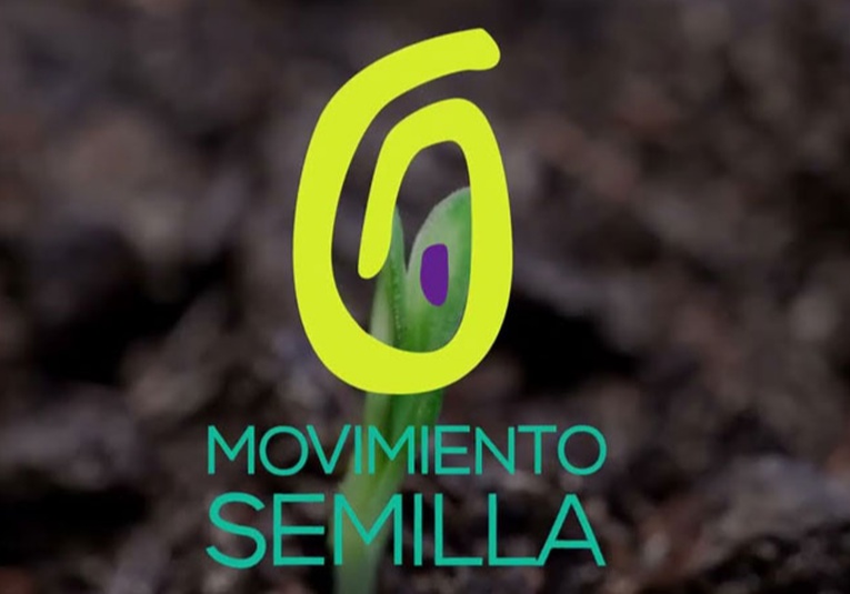 TSE oficializa la cancelación definitiva del partido político Movimiento Semilla por orden judicial tse-oficializa-la-cancelacion-definitiva-del-partido-politico-movimiento-semilla-por-orden-judicial-150702-150753.jpg
