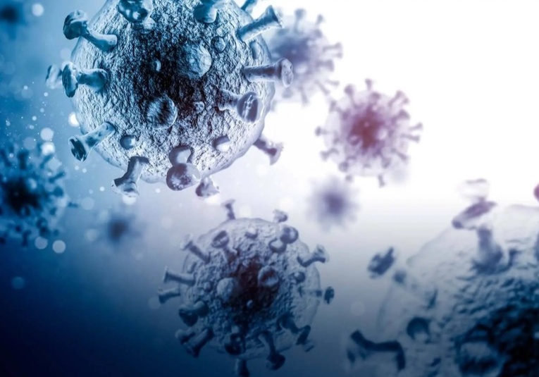 Un virus poco conocido avanza y deja decenas de muertos en la India un-virus-poco-conocido-avanza-y-deja-decenas-de-muertos-en-la-india-092909-092923.jpg